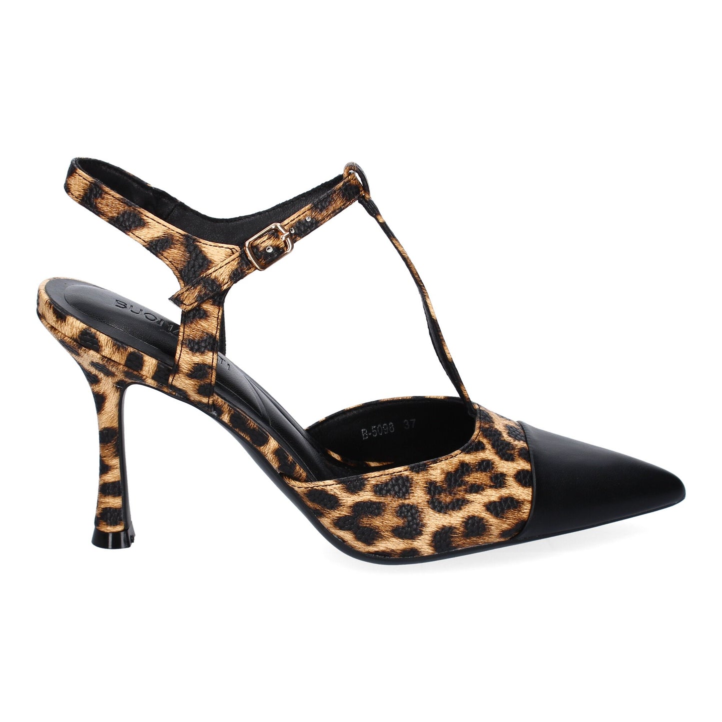 B-5098-Leopardo